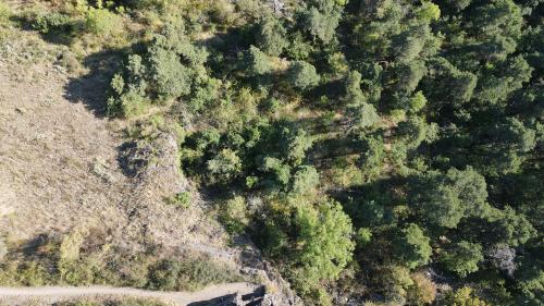 DJI_4063.JPG